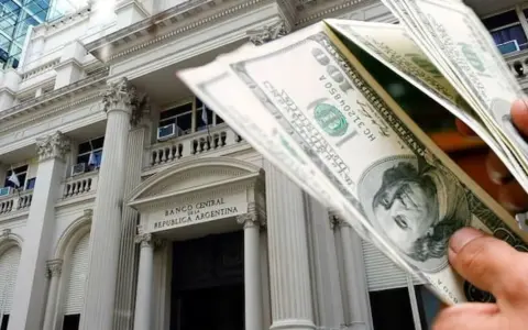 Análisis de la Intervención del BCRA en el Mercado de Divisas y sus Implicancias para Argentina