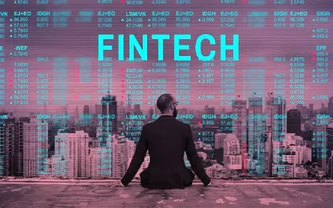 Análisis del Crédito Fintech en Argentina: Morosidad y Perspectivas de Mejora