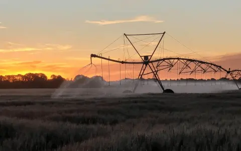 Requisitos y Beneficios del Régimen de Incentivo a las Medianas Inversiones (RIMI) para el Sector Agropecuario