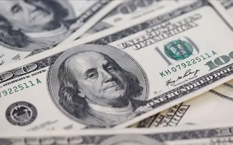 El Dólar Oficial Continúa su Tendencia Bajista: Análisis del Mercado