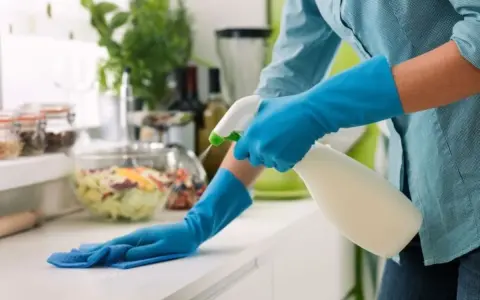 Implementación del Recibo de Sueldo Digital para Trabajadoras de Casas Particulares por ARCA