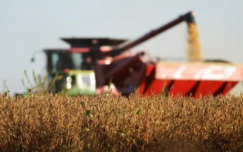 Análisis de la Comercialización de Soja en Argentina: Impacto de la Baja de Retenciones Anunciada para 2027