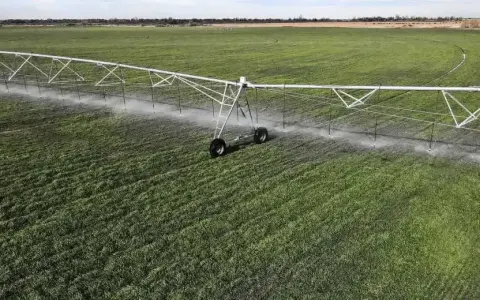 Reglamento del Régimen de Incentivo para Medianas Inversiones en el Sector Agrícola y Energético