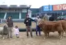 Inauguración de la 138° Exposición Rural de Palermo: Un Hito en la Ganadería Argentina