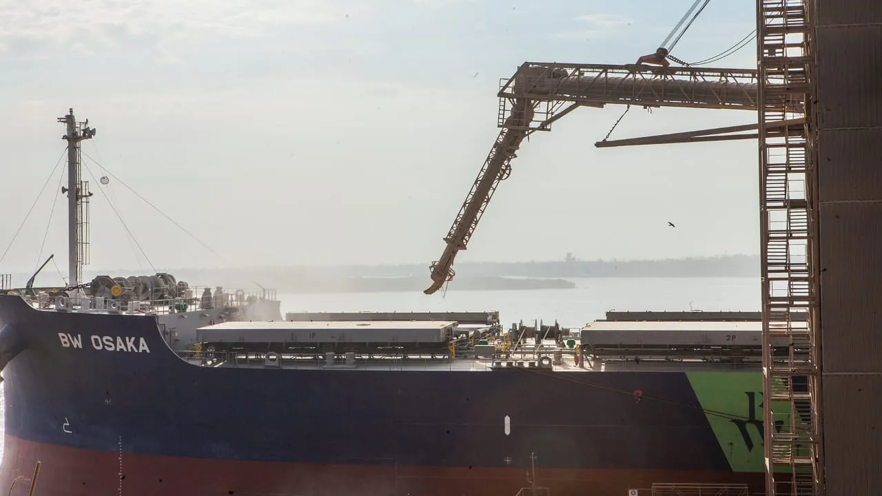 Inscripción de Exportadores de Granos de Girasol a China: Requisitos y Procedimientos