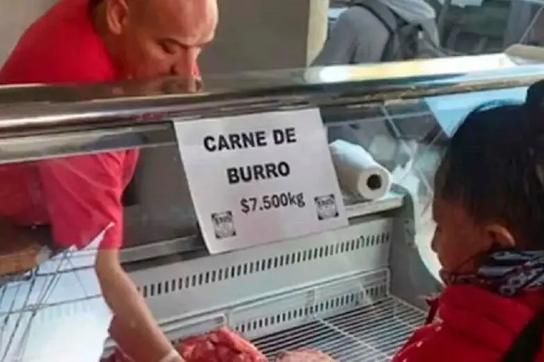 Análisis del Aumento de Precios en la Carne de Burro en Argentina